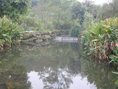 -重庆彩云湖湿地公园