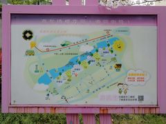 -高东镇樱花园