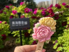 -洛阳市隋唐城遗址植物园