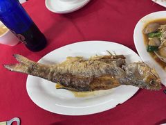 -蛇口康乐快餐鱼仔档(翠苑小区店)