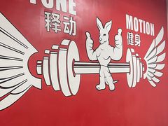 -Stone Motion释动健身