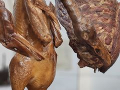 -高坎一品甲鱼庄(两河店)