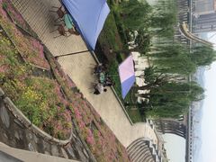 iphone_upload_pic-汉江公园