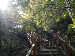 -大岭沟猕猴桃谷风景区