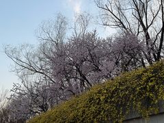 -玲珑塔公园