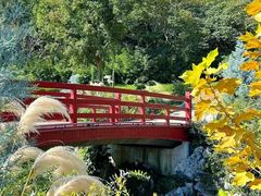 -羊山湖公园