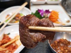 烤鲜羊肉-韩云龙炭火烤肉(东陵西路店)