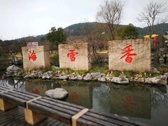 -香雪海