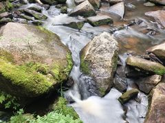 -汤旺河林海奇石景区