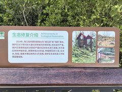 -东寨港红树林旅游区