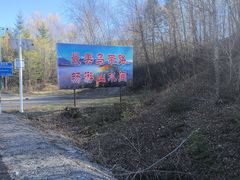 -汤旺河林海奇石景区