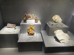 -湖南省地质博物馆