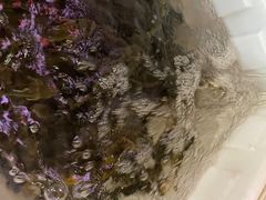 -金海椒罐罐鲢鱼(东方桂苑店)