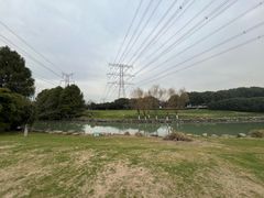 -九里河湿地公园