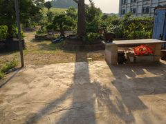 -东莞植物园