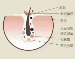 -LJOY丽锦造型·烫发染发