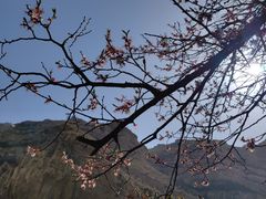 -悬空寺