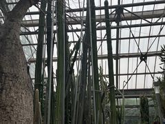 -南山植物园