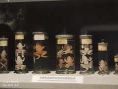 -四川大学博物馆