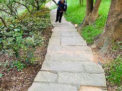 -金鸡山公园