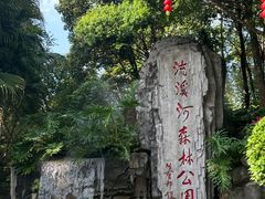 -广州市流溪河国家森林公园