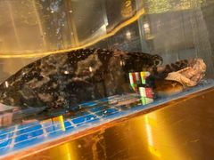 -ONE FULL 古董港式海鲜火锅