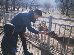 -西安秦岭野生动物园