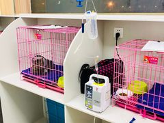-瑞鹏宠物医院·内科·中兽医·骨科(苗圃店)