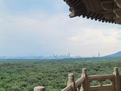 -灵谷景区