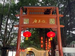 -侨美·唐荔园·40年地道粤菜