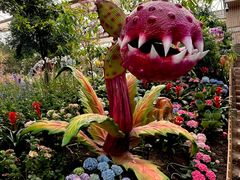-沈阳植物园