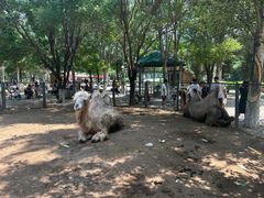 -长白岛森林公园