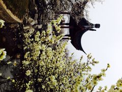 iphone_upload_pic-林屋洞景区