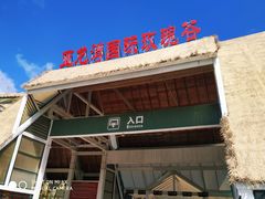 -亚龙湾国际玫瑰谷