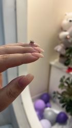 -HAO美皮肤管理·美甲美睫