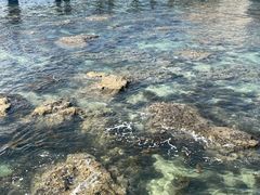 -三亚西岛海洋文化旅游区