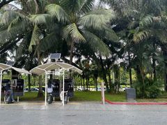 -深圳湾公园(南山区)