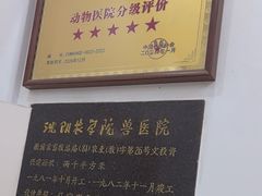 -派美特宠物医院·核磁CT·骨科肿瘤·疑难转诊(沈农禾丰店)