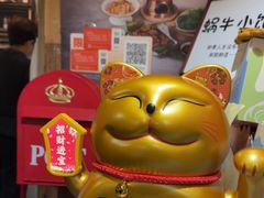 -蜗牛小馆醉乡民谣云南菜(惠新西里店)