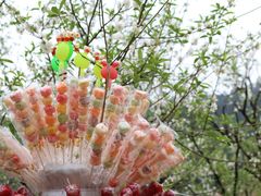 -南国桃园旅游度假区