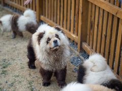 -茅山东方盐湖城景区