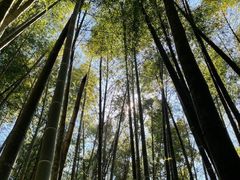 -鸡枕山
