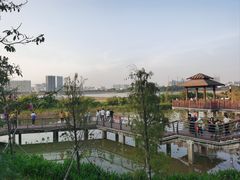 -立新湖公园