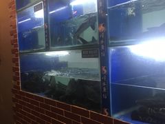 -顺水鱼馆(克西路店)