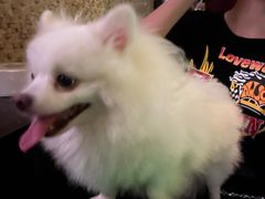 -佰迪乐KTV(秀灵店)