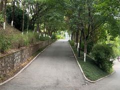 -重庆彩云湖湿地公园