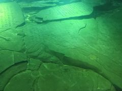 -白鹤梁水下博物馆