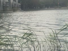 -尚贤河湿地