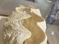 -青岛贝壳博物馆