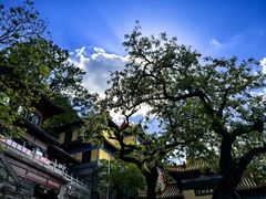 -千佛山风景名胜区